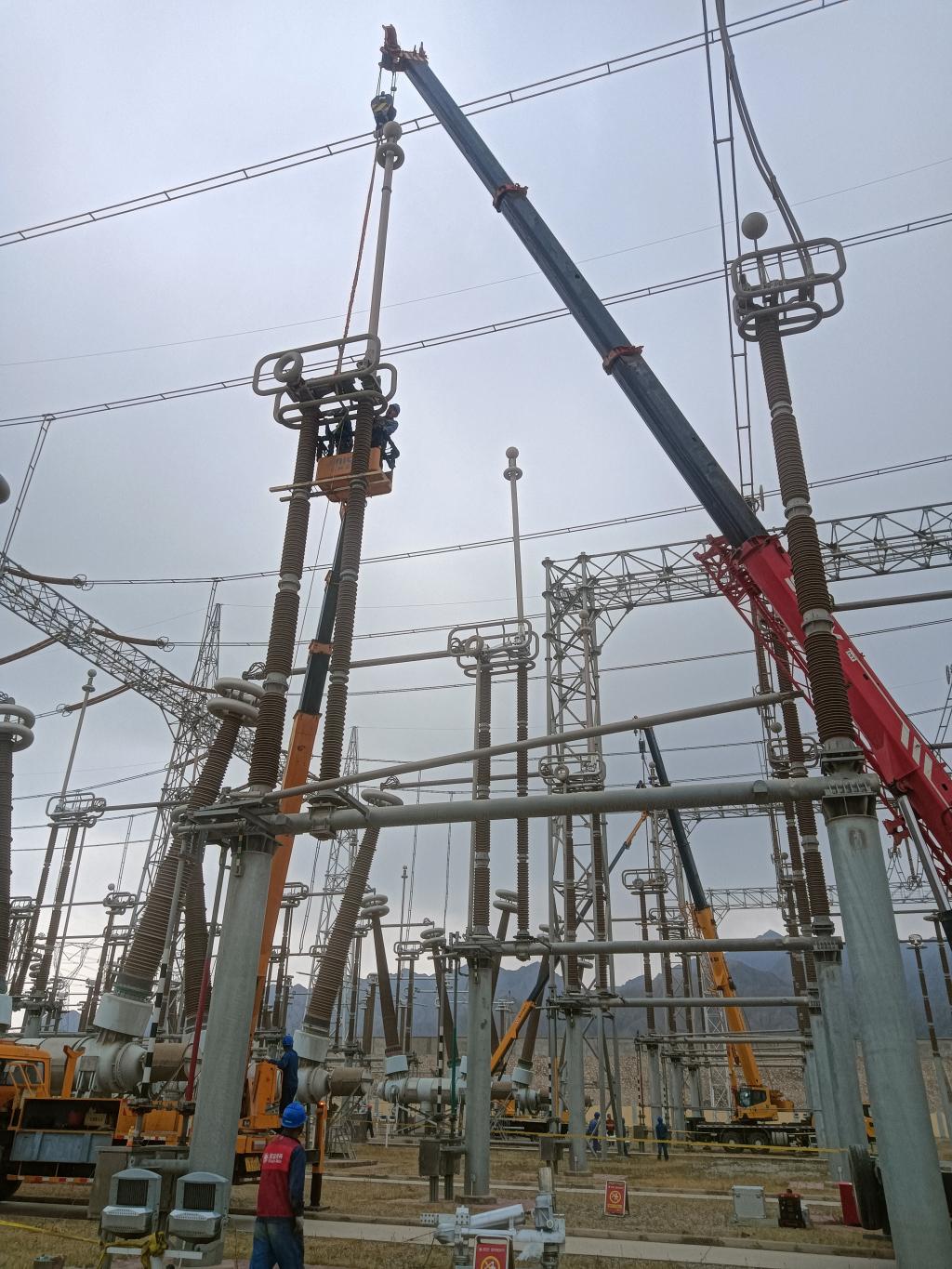 用户肯定 | 这封表扬信，，含“赞”量极高-尊龙时凯